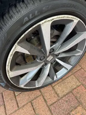 SEAT Leon Leon Sportstourer 1.5 eTSI ACT OPF DSG FR Bild 4