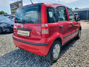 Fiat Panda Bild 4