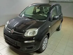 Fiat Panda Panda