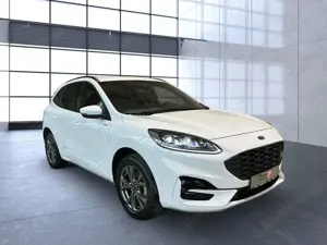 Ford Kuga Plug-In Hybrid ST-Line X Sportpaket Bluetooth Bild 5