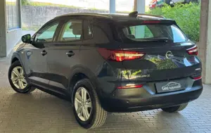 Opel Grandland X Business Edition ** 1. Hand/Vollleder** Bild 4
