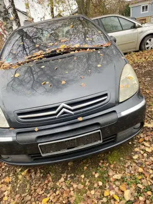 Citroen Xsara Picasso 2.0  Exclusive Top-Edition Anhängerkupplung Bild 4