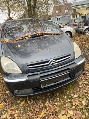 Citroen Xsara Picasso 2.0  Exclusive Top-Edition Anhängerkupplung Bild 3