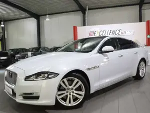 Jaguar XJ 3.0 D V6 PREMIUM-LUXURY WHITEBLACK PANORAMA Bild 5