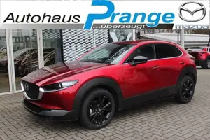 Mazda CX-30 M-Hybrid G-140 AT Homura *Sofort*Aktion* NAVI ACAA