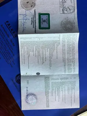 Citroen C3 C3 1.4 Selection