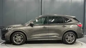 Ford Kuga Hybrid ST-Line X*Head-Up*Technologie*Winter-Paket*