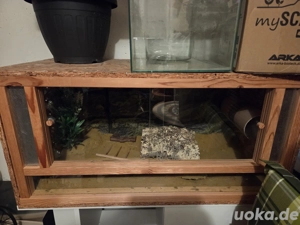 Terrarium  Bild 2