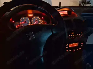 Peugeot 206 206 CC 110 Roxy Bild 2