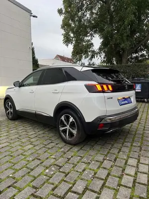 Peugeot 3008 GT Appel CarPlay Ink DACHBOX!!!!! Bild 5
