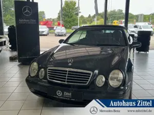 Mercedes-Benz CLK 320 CLK 320 Cabriolet Elegance/Styling/Klima/Xenon