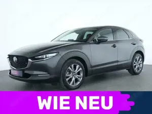 Mazda CX-30 Selection ACC|Head-up-Display|LED|Navi|SHZ