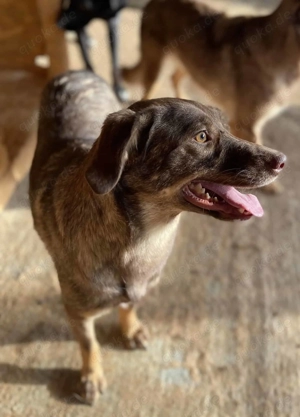 Nela W ca. 48 cm   sucht nach ihrem Glück