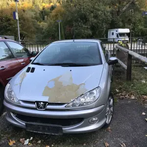 Peugeot 206 CC 110 Filou Sport