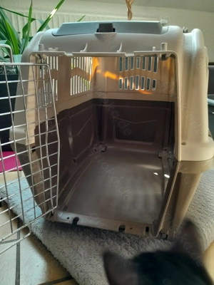 Hunde Flug   Transportbox  Bild 5