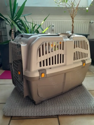 Hunde Flug   Transportbox  Bild 3