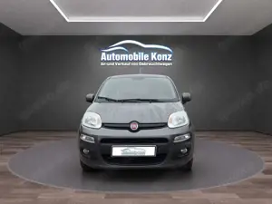 Fiat Panda Lounge