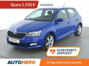 Skoda Fabia 1.0 TSI Cool Plus*PDC*SHZ*KLIMA*