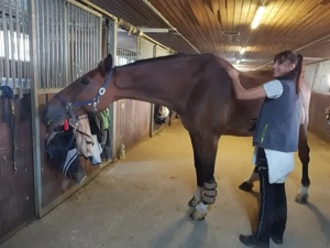 Große helle Innenboxen (4x4m) ab sofort frei Bild 2