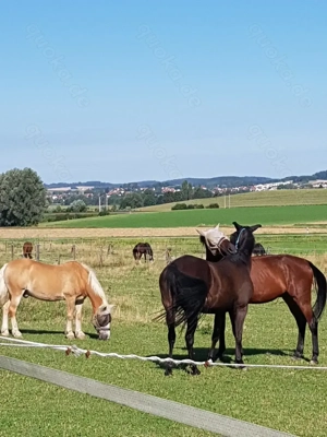 Große helle Innenboxen (4x4m) ab sofort frei Bild 3