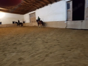 Große helle Innenboxen (4x4m) ab sofort frei Bild 8