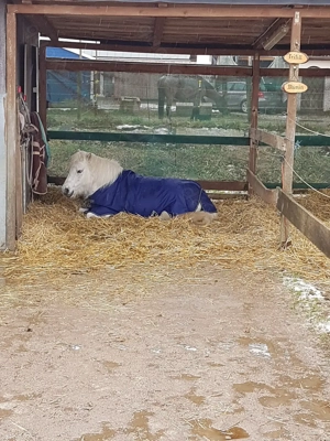 Große helle Innenboxen (4x4m) ab sofort frei Bild 6