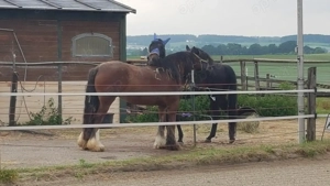 Große helle Innenboxen (4x4m) ab sofort frei Bild 10