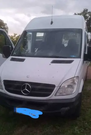 Mercedes-Benz Sprinter 313 CDI Sprinter 906.731