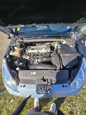 Peugeot 407 Esplanade Bild 4