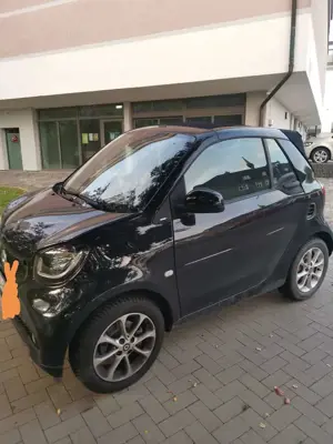 smart forTwo smart fortwo cabrio twinamic