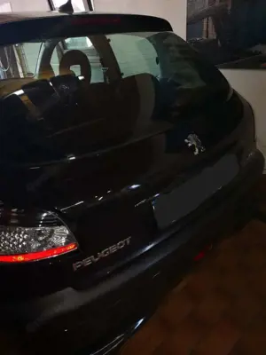 Peugeot 206 206 75 Grand Filou Cool Bild 2