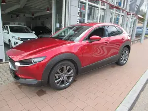 Mazda CX-30 2.0 e-SKYACTIV-X M-Hybrid Selection/LED/LM Bild 1