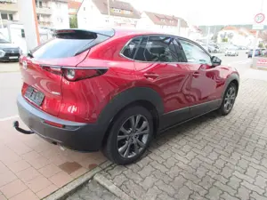 Mazda CX-30 2.0 e-SKYACTIV-X M-Hybrid Selection/LED/LM Bild 5