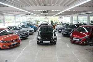 smart forFour 1,3 pulse