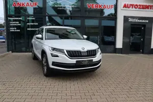 Skoda Kodiaq Clever 4x4 Standhzg Virtual Kamera LED
