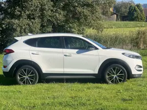 Hyundai TUCSON 1.6 Turbo 4WD DCT Passion Bild 4