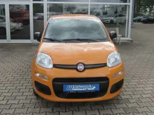 Fiat Panda Panda 1.2 Easy
