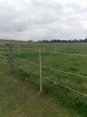 Offenstall Plätze frei in keiner Gruppe 