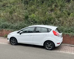 Ford Fiesta Celebration