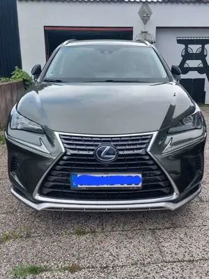 Lexus NX 300h NX 300 Executive Line