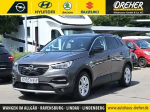 Opel Grandland Grandland X 1.2 Turbo 120 Jahre Navi/Kamera/LM