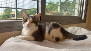 Angel möchte dein Engel werden 