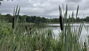 Suche nette Sie für ein kleines Abenteuer gegen TG