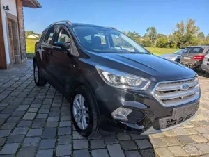 Ford Kuga 1.5|PDC hi+vorne|AHK|GRA|SHZ