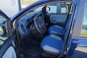 Fiat Panda Lounge Bild 3