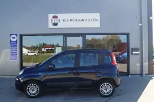 Fiat Panda Lounge Bild 2