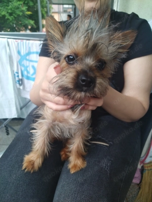 Amberg 92224  Bild 1