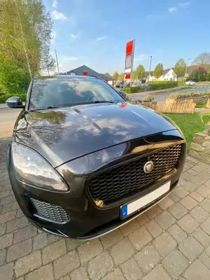 Jaguar E-Pace S AWD /Panoramadach/AHK/8-fach bereift