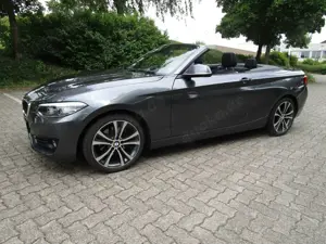 BMW 220 i Cabrio Autom. LED 18" AHK