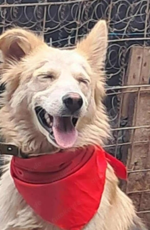 Ronja, sanftes Wesen sucht Menschen mit Herz